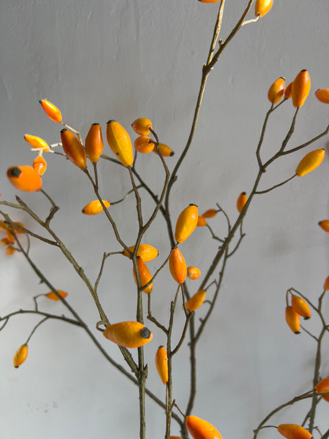 Rozenbottel tak 130 cm geel/oranje bottels