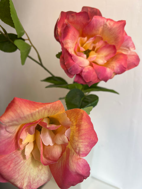 Roos liza spray x3  peach  80 cm