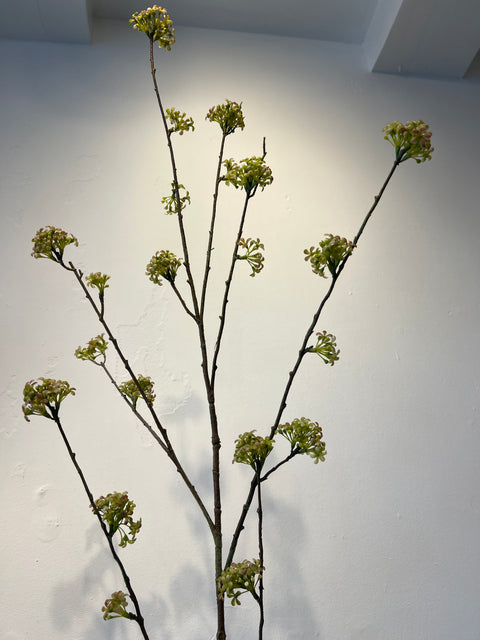 Spirea tak groen 160 cm