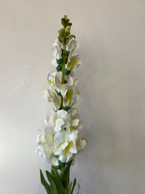 Leeuwenbek wit 93 cm