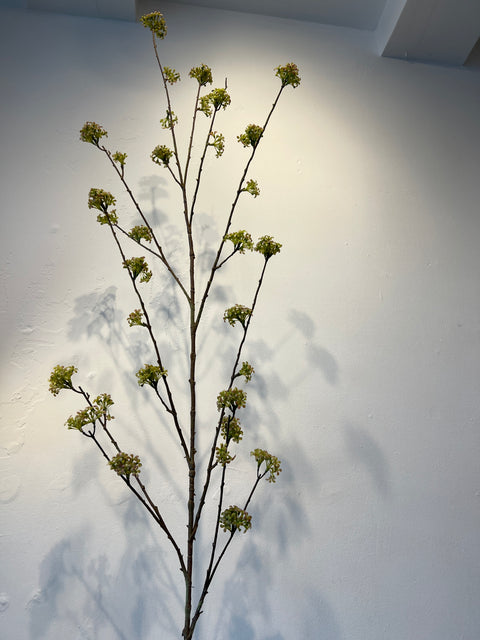 Spirea tak groen 160 cm