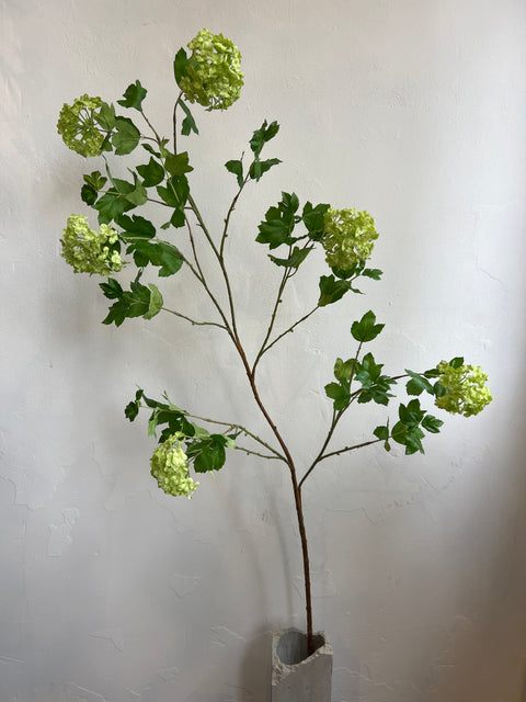 Sneeuwbal tak groen 167 cm