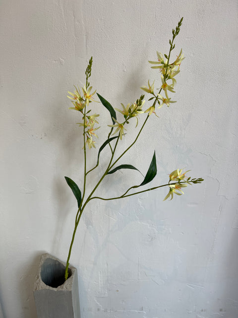Crocosmia  zacht geel  110 cm
