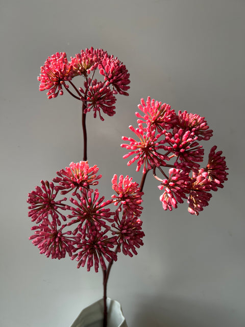 Engelwortel tak 3x magenta  83 cm