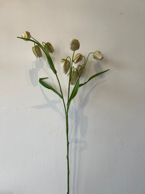 Fritillaria creme/groen 70 cm
