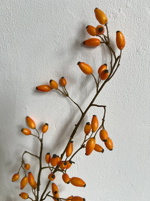 Rozenbottel tak 110cm licht oranje bottels