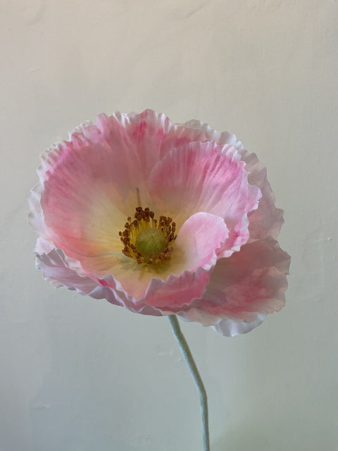 Papaver steel roze/wit  73 cm