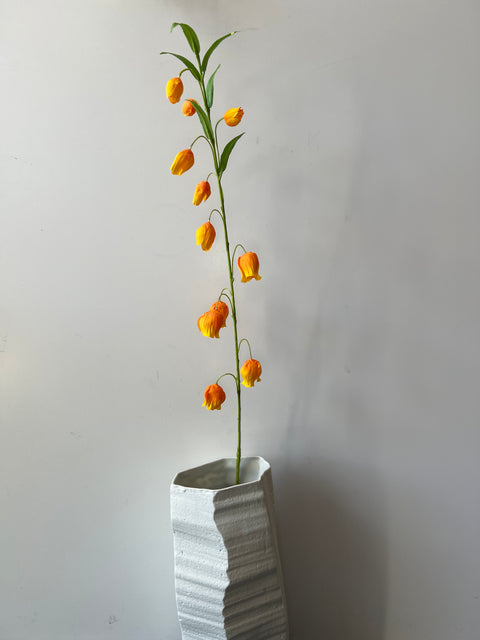 Sandersonia (klokjes)  85 cm  oranje