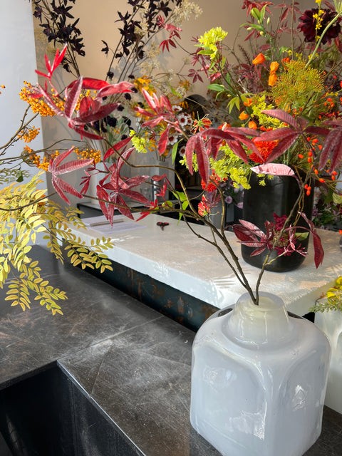 Esdoorn tak bordeaux 126 cm