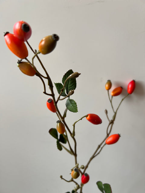 Rozenbottel tak 78 cm    oranje/geel bottels