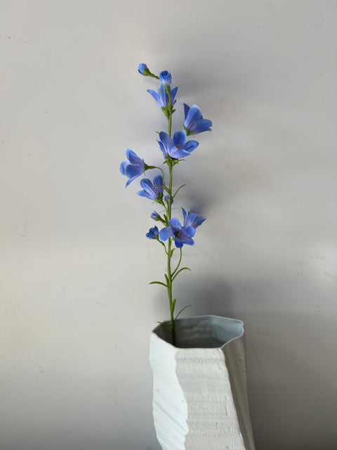 Campanula tak blauw  70 cm