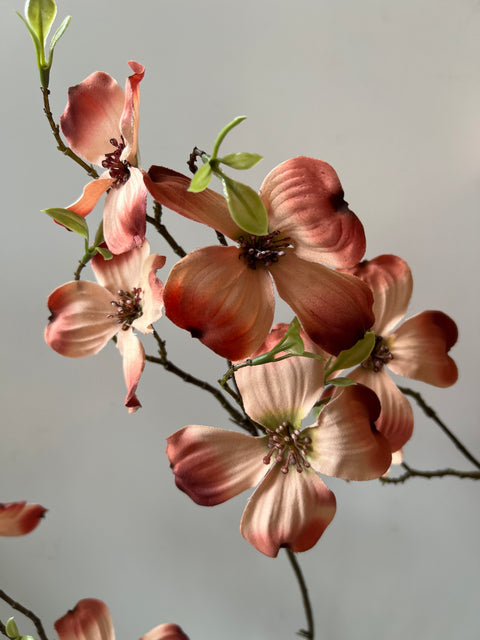 Kornoelje tak zalm 120 cm