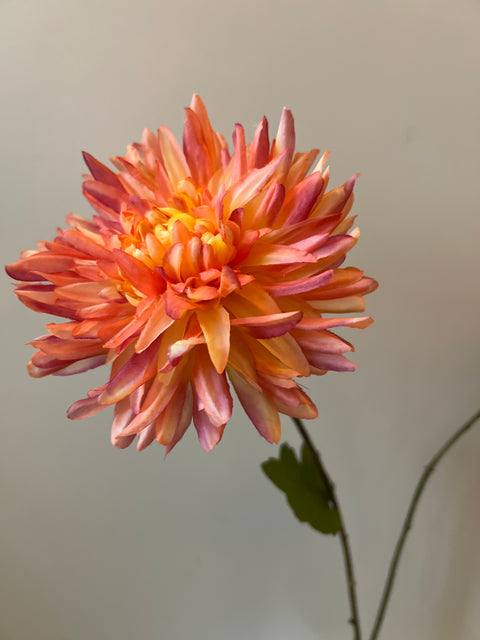 Chrysant  oranje  73 cm