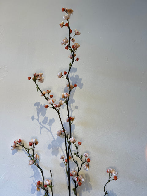 Kardinaalsmuts creme/oranje  115 cm