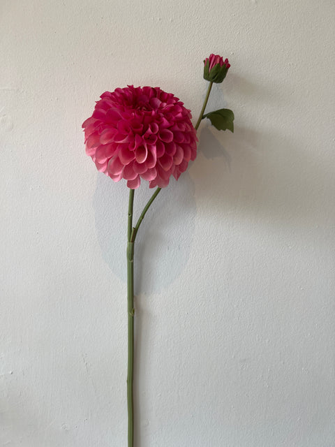 Dahlia bloem + knop donker roze 60 cm