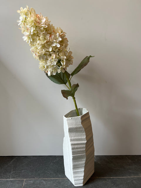 Hortensia pluim cream 90 cm