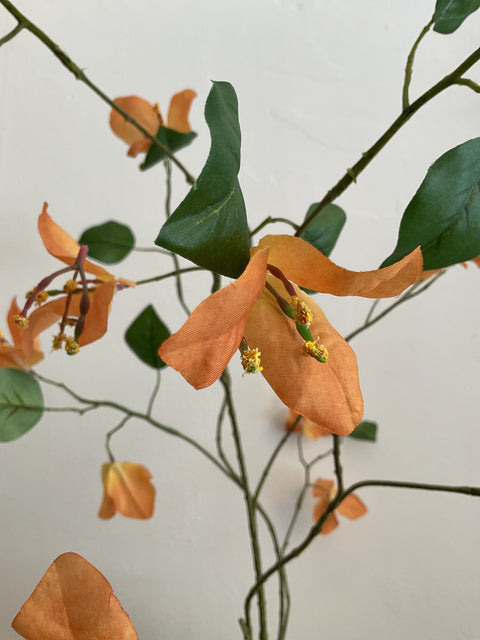 Bougainville tak zacht oranje  125 cm