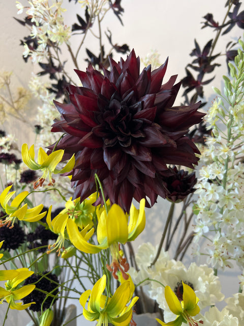 Dahlia bloem groot 102 cm bordeaux