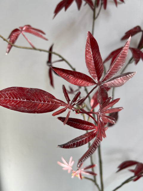 Esdoorn tak bordeaux 126 cm
