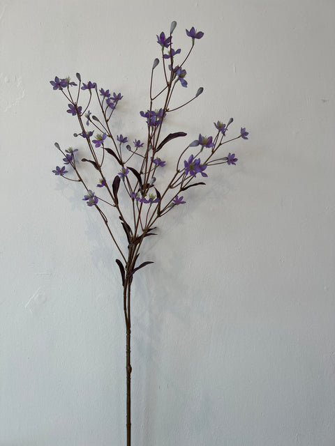 Thalictrum paars 89 cm