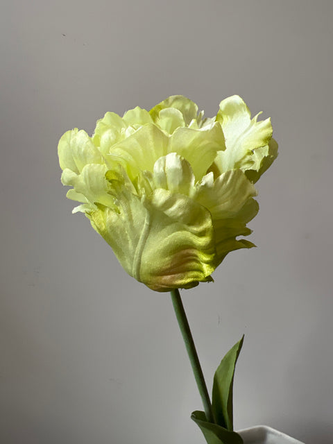 Tulp papagaai  groen  66 cm