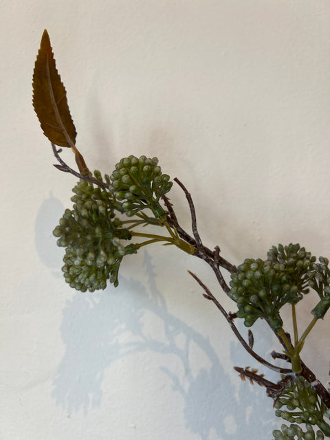 Echinops tak groen/bruin 97 cm