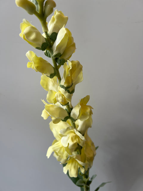 Leeuwenbek geel 93 cm