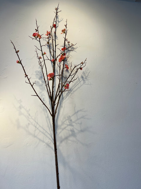 Bloesem tak groot roze 154 cm