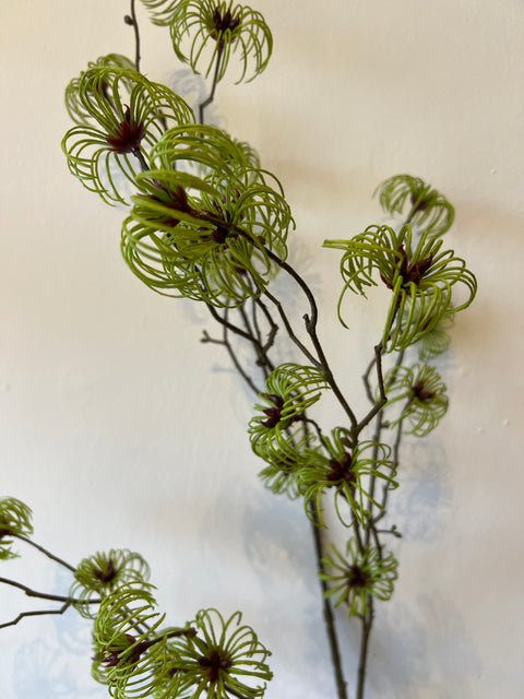 Clematis tak groen  122 cm