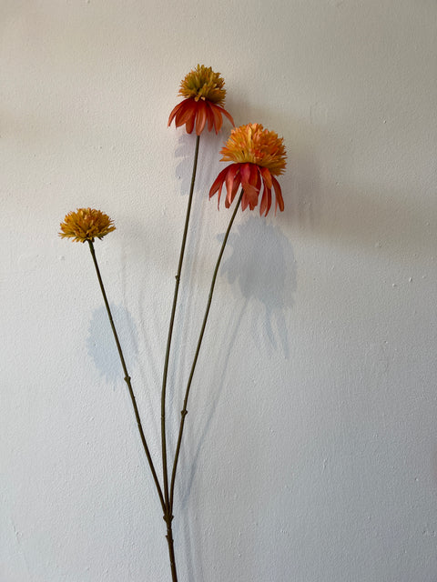 Rudbeckia tak oranje 66 cm