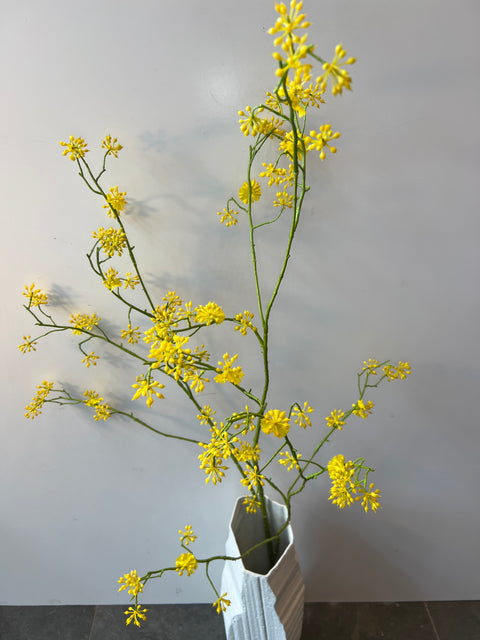 Kornoelje geel 125 cm