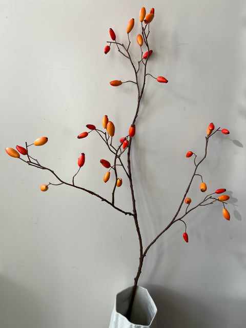 Rozenbottel tak 95 cm oranje/geel bottels