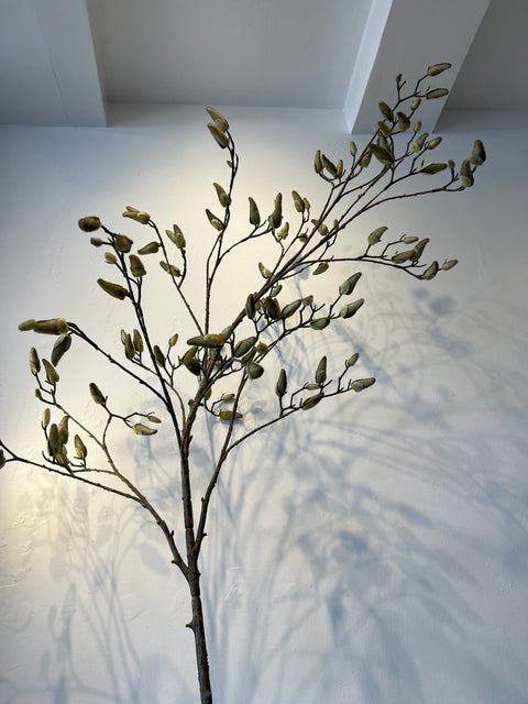 Magnolia Bud tak groen 184 cm