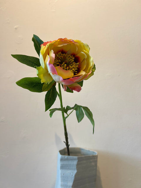 Pioenroos open geel 56 cm