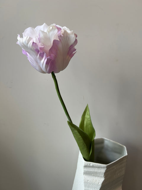 Tulp papagaai  lila  66 cm