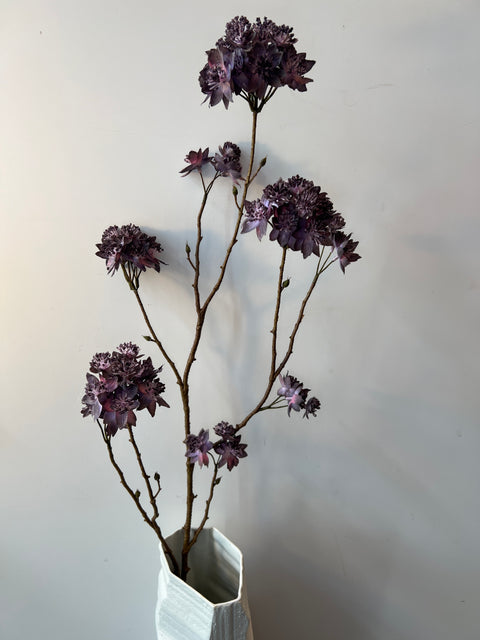 Zeeuws knoopje tak taupe 110 cm