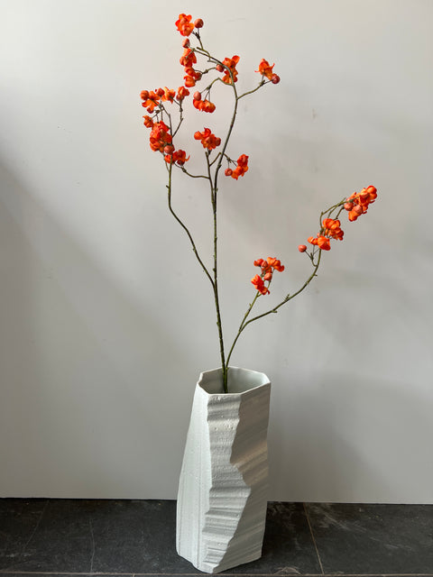 Kardinaalsmuts tak oranje  90 cm