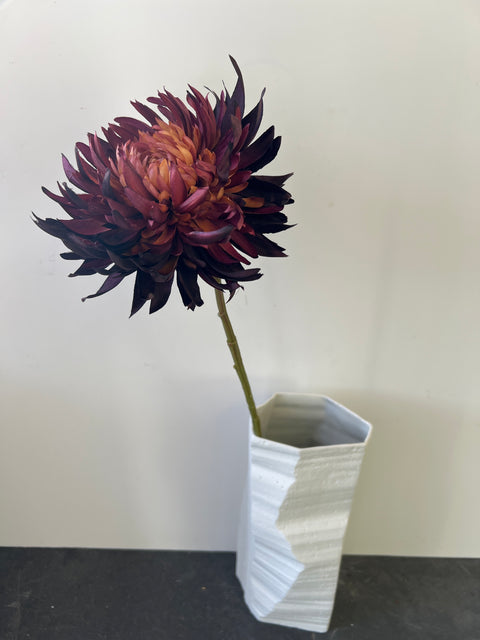 Chrysant  MUM donker bordeaux  62 cm
