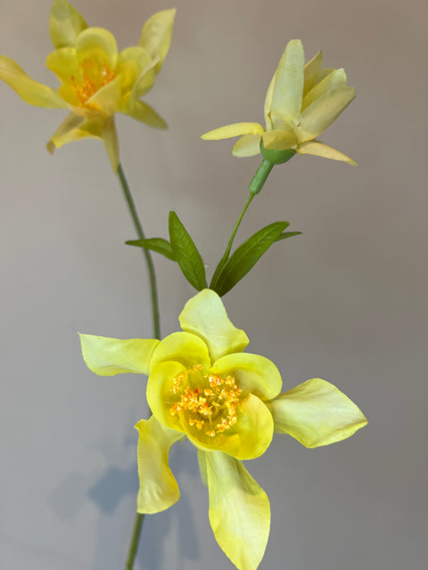 Akelei bloemen tak 104 cm geel