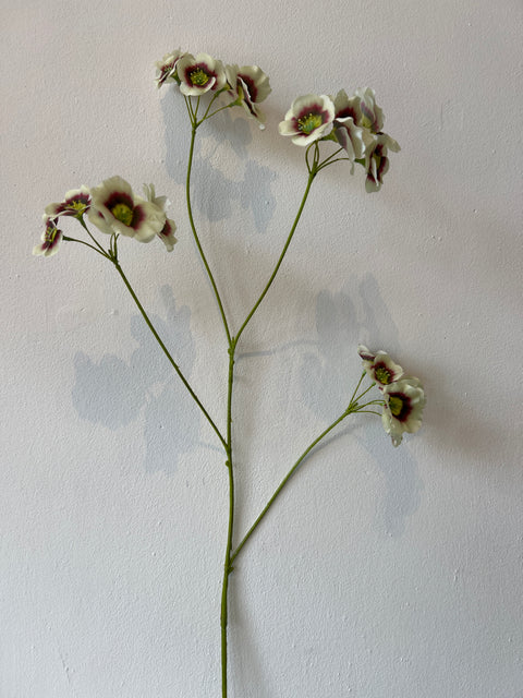 Mini bloem tak creme/rood  78 cm