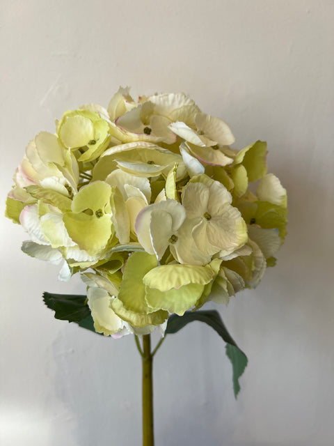Hortensia bol wit/creme 85 cm