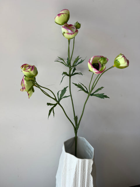 Ranonkel tak x3 groen/roze 65 cm
