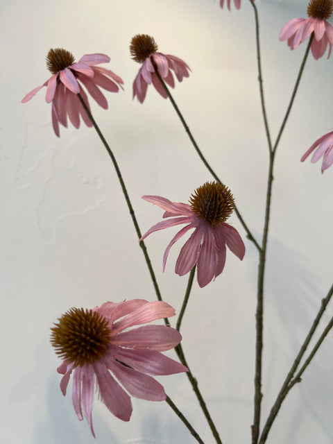 Echinacea spray oud roze 123 cm