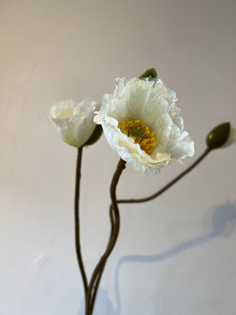 Papaver spray groot x3  105 cm wit