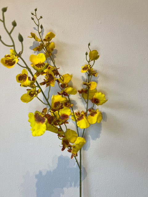 Orchidee x3 geel  78 cm
