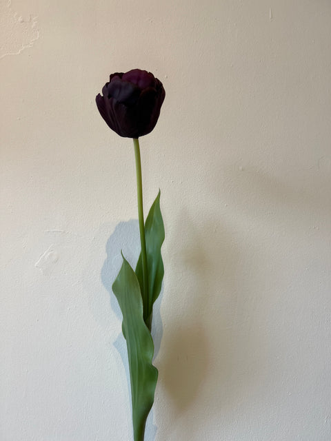 Tulp steel  bordeaux  66 cm