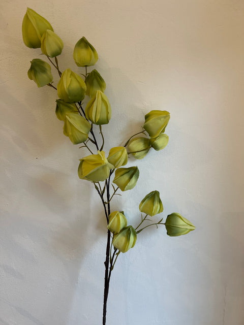 Physalis tak x4 groen  90 cm