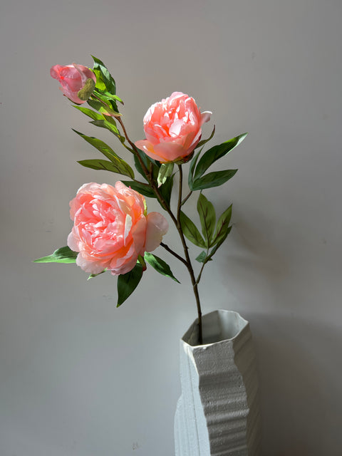 Pioenroos tak x3 peach 68 cm