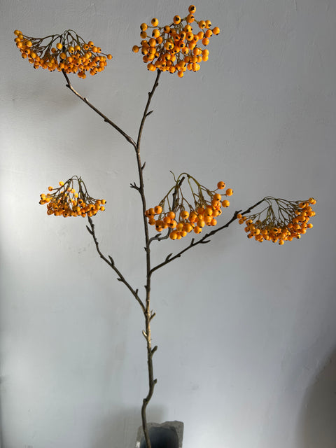 Bessen tak licht oranje  140 cm