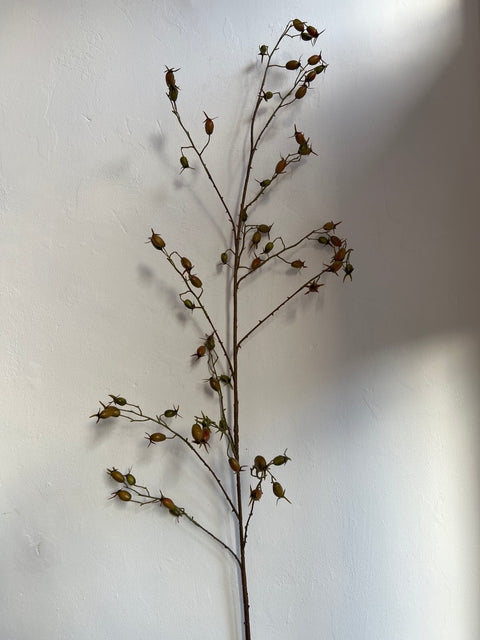 Rozenbottel tak 168 cm groene bottels